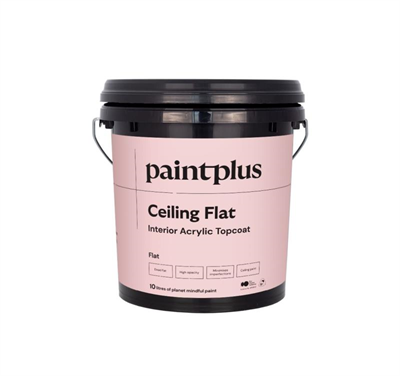 PAINT PLUS CEILING FLAT