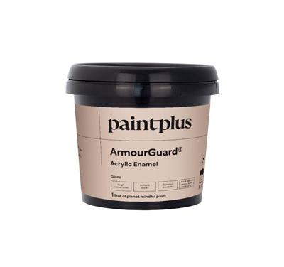 PAINT PLUS ARMOURGUARD