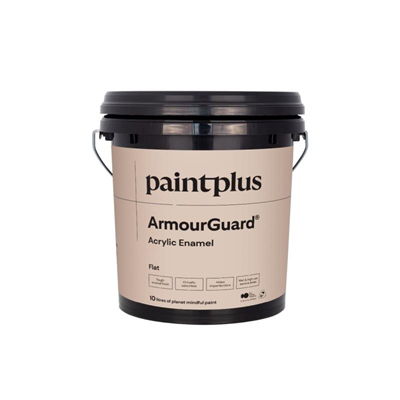 PAINT PLUS ARMOURGUARD FLAT