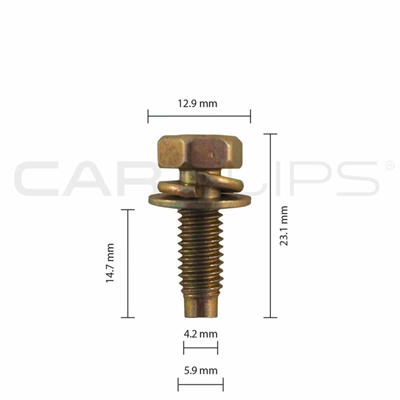 Car Clip - Multi Use SEM Body Bolt M6 x16 - CC32109 - Pkt 25