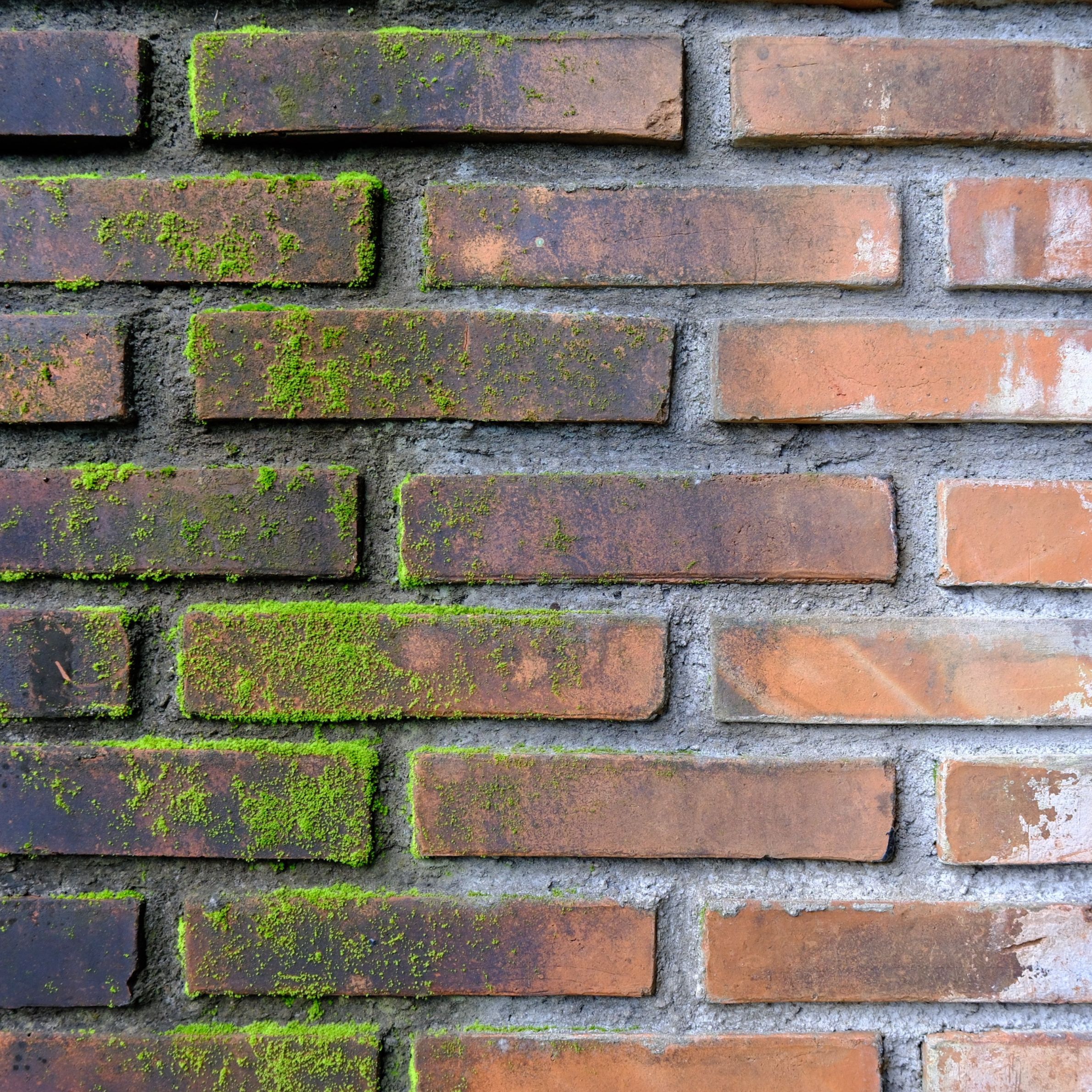 Existing Block Work or Concrete