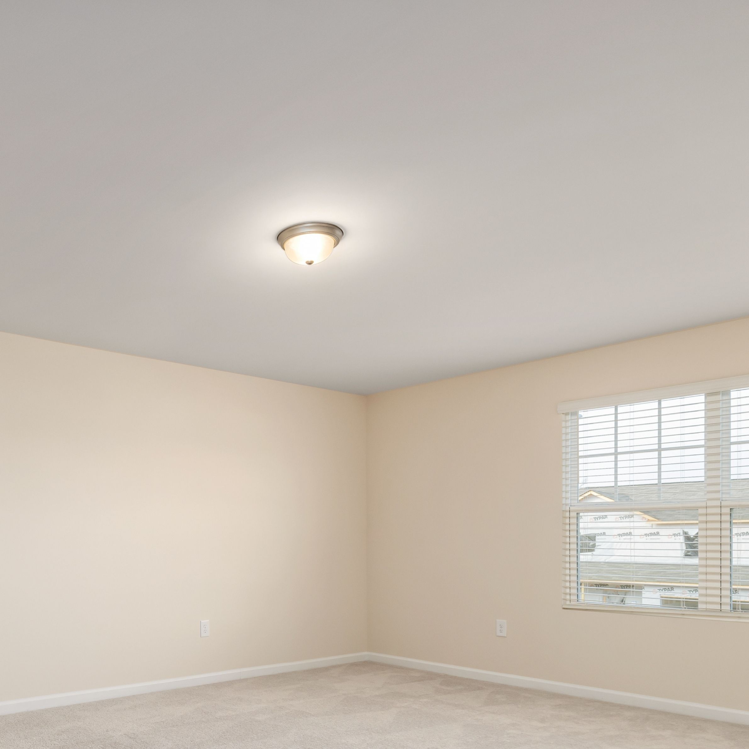 Existing Ceilings
